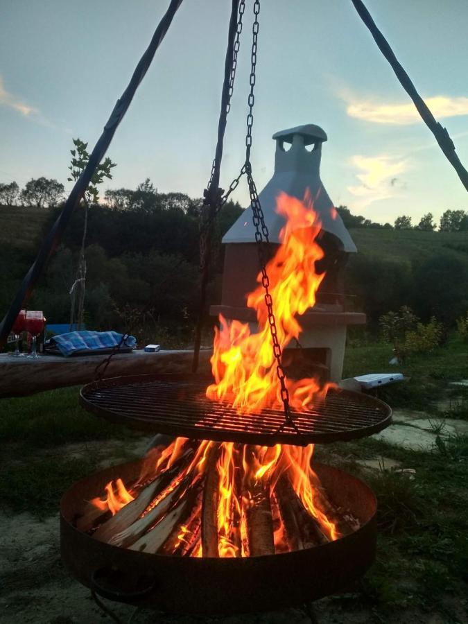 Domki W Bieszczadzkiej Dolinie Ustrzyki Dolne Exteriör bild