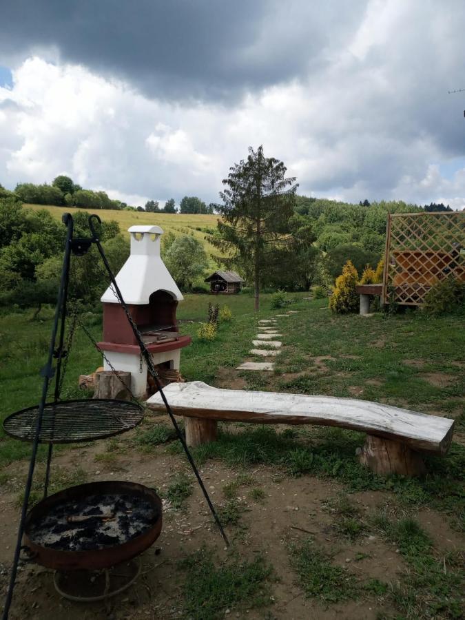 Domki W Bieszczadzkiej Dolinie Ustrzyki Dolne Exteriör bild