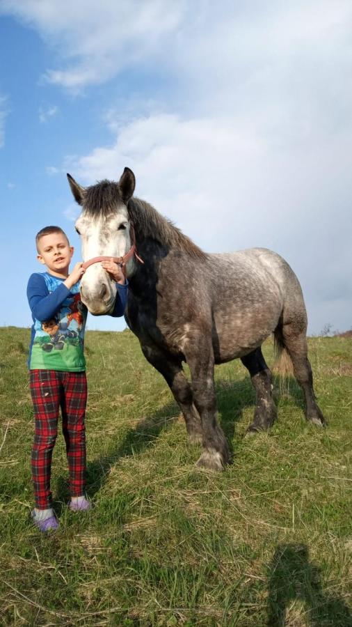 Domki W Bieszczadzkiej Dolinie Ustrzyki Dolne Exteriör bild