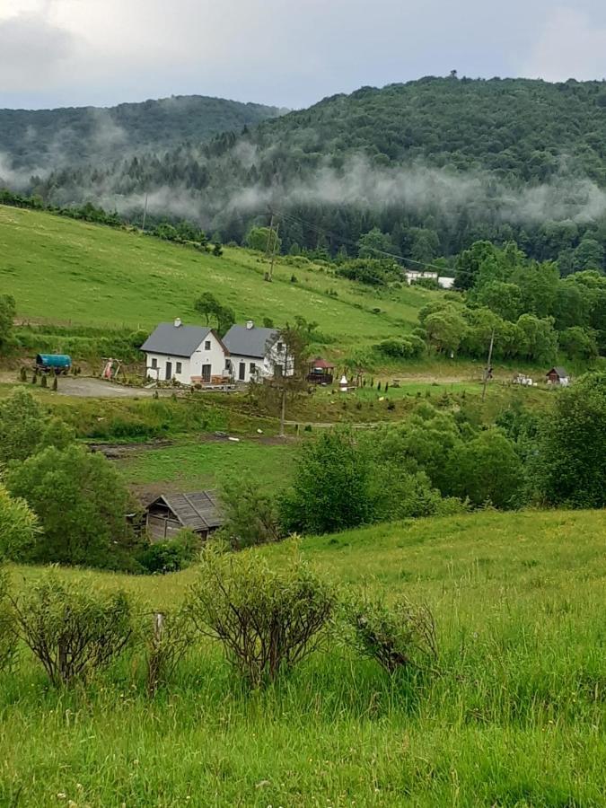 Domki W Bieszczadzkiej Dolinie Ustrzyki Dolne Exteriör bild